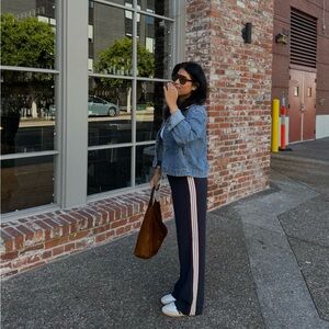 Aritzia Navy pin stripe pants